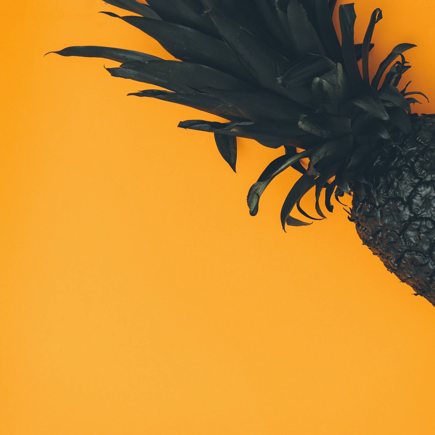 Black Pineapple- Schwarzer Tee mit kandierter Ananas
