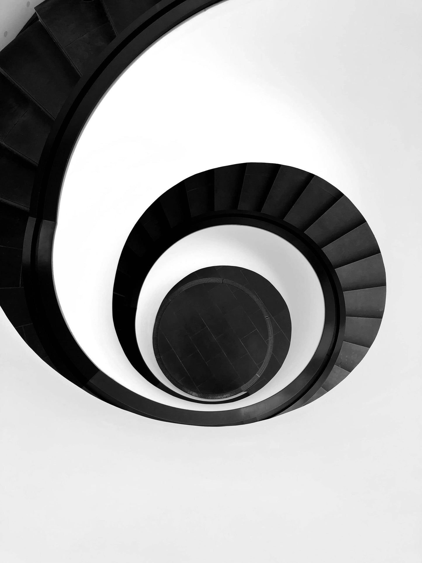 Black On White - Weißer Tee mit Johannisbeere
